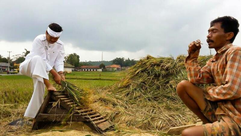 Jurus Dedi Mulyadi Agar Harga Beras Murah dan Lumbung Padi Terjaga