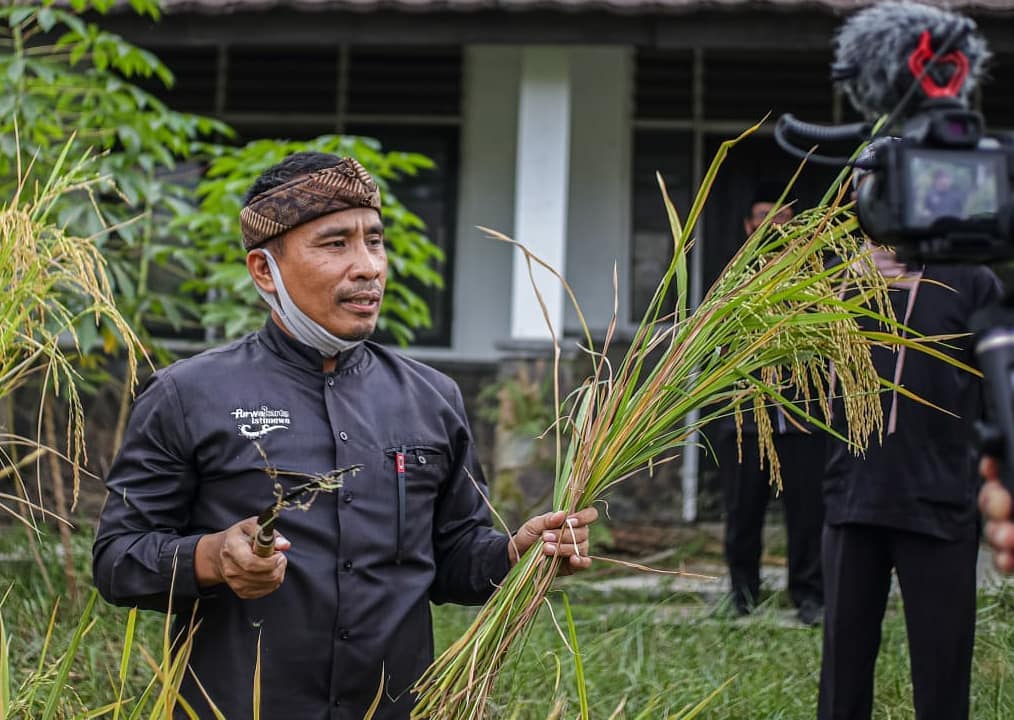 Sekolah Ekologi Proyeksi Tata Kelola Kemandirian Pangan Purwakarta