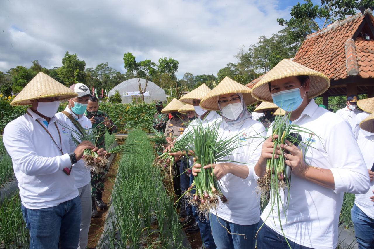 Purwakarta Jadi Sentra Bawang Merah