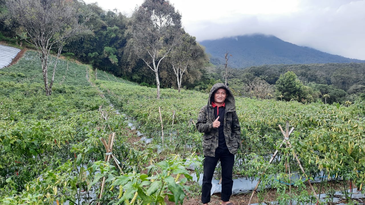 Petani di Cipongkor Kesulitan Dapat Pupuk Subsidi