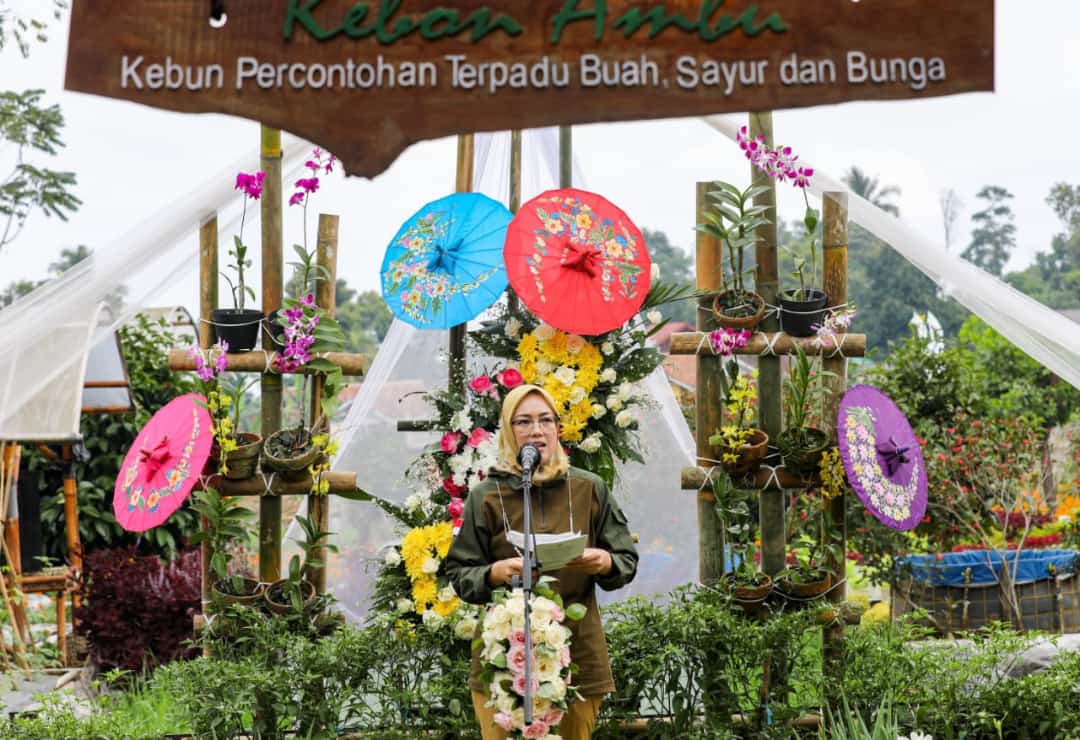 Sebarluaskan Teknologi Budidaya Holtikultura, Pemkab Purwakarta Gelara Festival Holtikultura