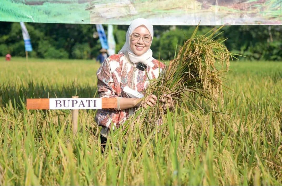 Purwakarta Sudah Produksi Jutaan Ton Padi Dalam Lima Tahun