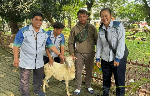 Peringati Idul Adha, Jasa Tirta II Salurkan Hewan Kurban kepada Masyarakat